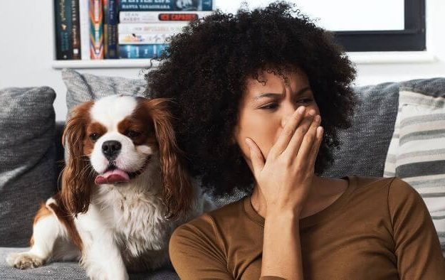 Cachorro com mau hálito: 6 dicas incríveis para tratar o dog